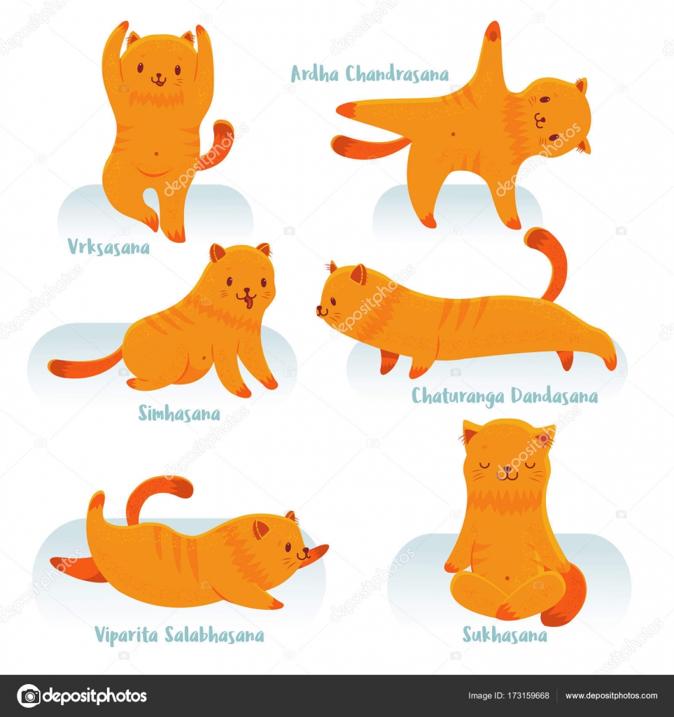 cartoon orange cat doing several yoga poses 