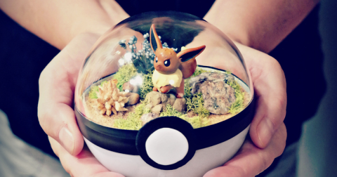 Hands holding a plastic Pokeball. The top half is clear and shows an Eevee surrounded by vegetation.