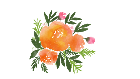 orange rose like flowers with green leaves 