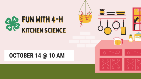 measuring utensils, pots, and pans, in a pink and yellow kitchen