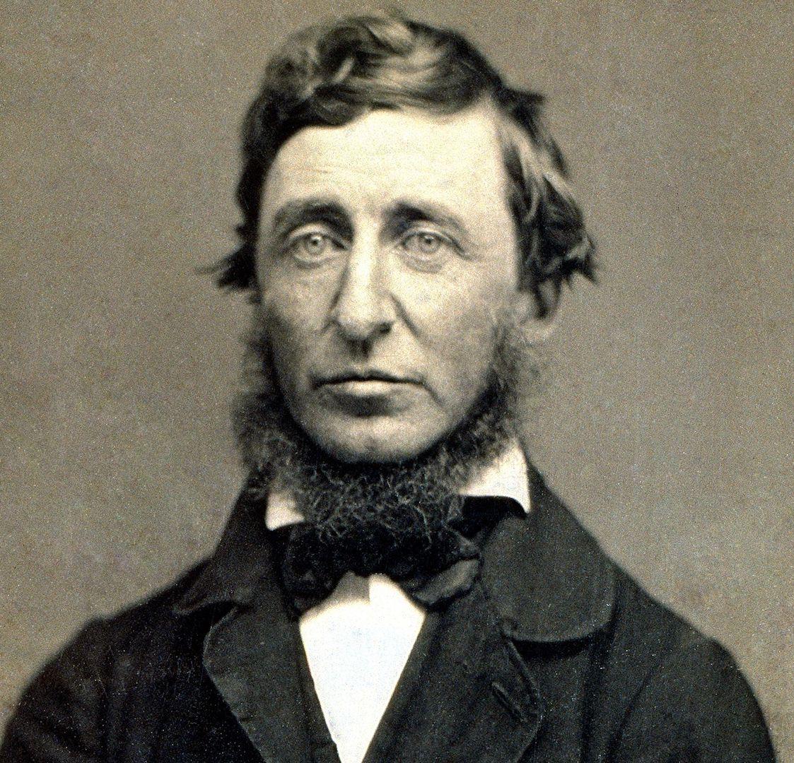 Portrait of Henry David Thoreau