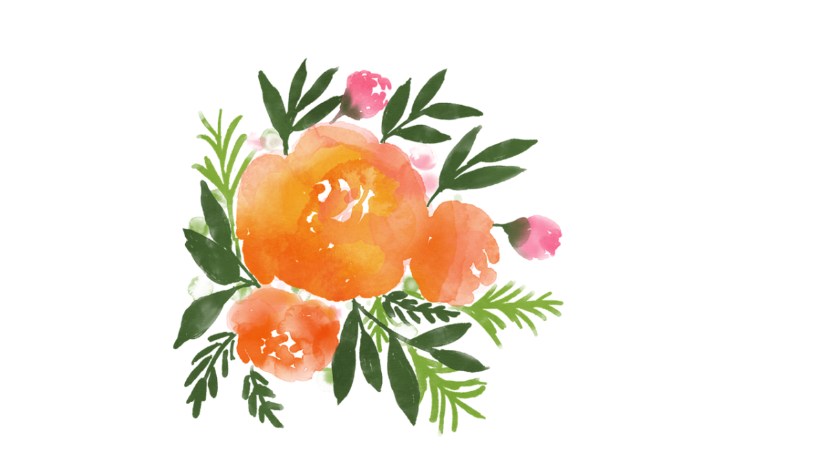 orange rose like flowers with green leaves 