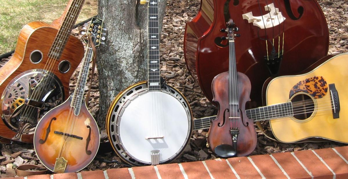 A variety of acoustic string instruments laying beside a tree in the grass